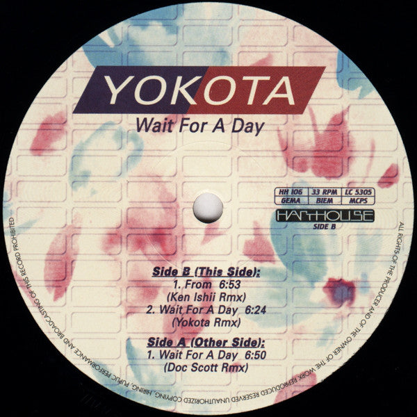 Susumu Yokota : Wait For A Day (12")