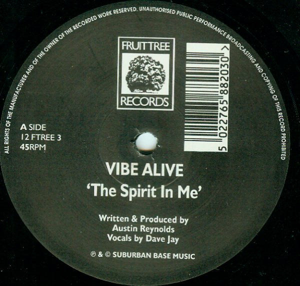 Vibe Alive : The Spirit In Me (12")