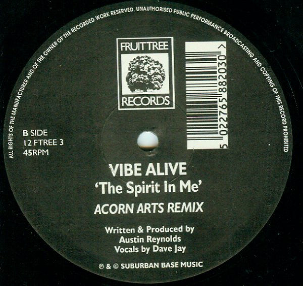 Vibe Alive : The Spirit In Me (12")