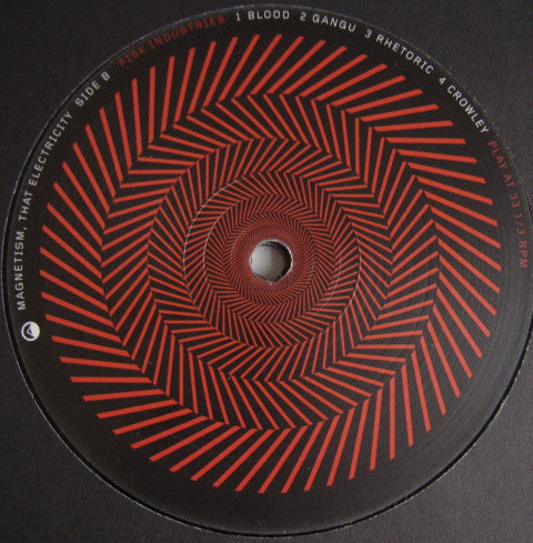 Various : Magnetism, That Electricity (2x12", Comp, Ltd)