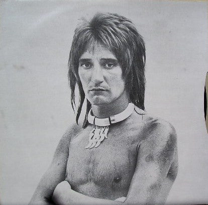 Rod Stewart : A Night On The Town (LP, Album)