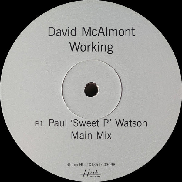 David McAlmont : Working (12")