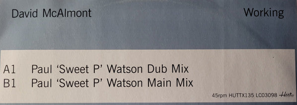 David McAlmont : Working (12")