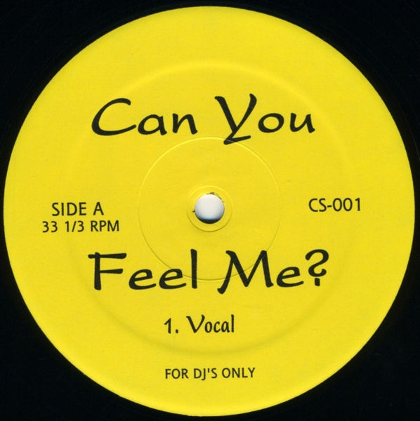 Charles Spencer Featuring Sky Covington : Can You Feel Me? (12")