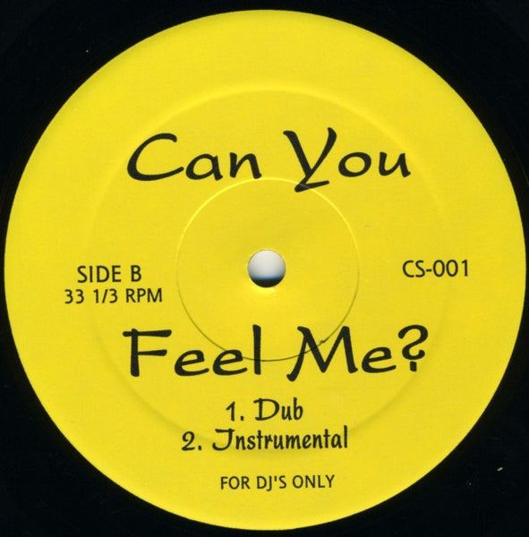 Charles Spencer Featuring Sky Covington : Can You Feel Me? (12")