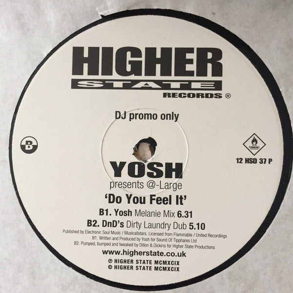 Yosh Presents @Large* : Do You Feel It (12")