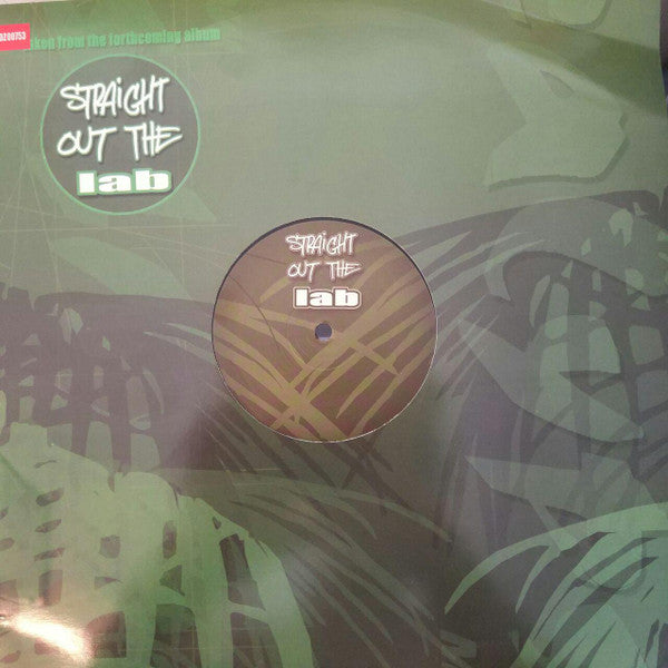 Malfoy / IMP (3) / JFM (2) : Bear Hunter (Jaydan Remix) / Catch It (12")