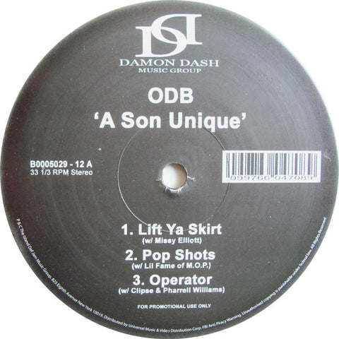 Ol' Dirty Bastard : A Son Unique B0005029-12 – EtherWood