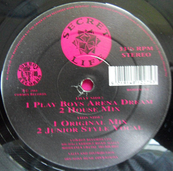 Secret Life : Love So Strong (12")