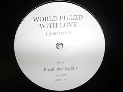 Craig David : World Filled With Love (12")