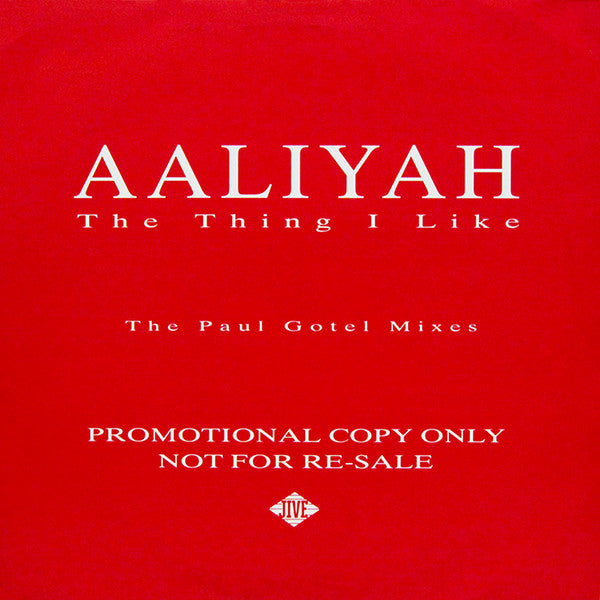 Aaliyah : The Thing I Like (Paul Gotel Mixes) (2x12", Promo)