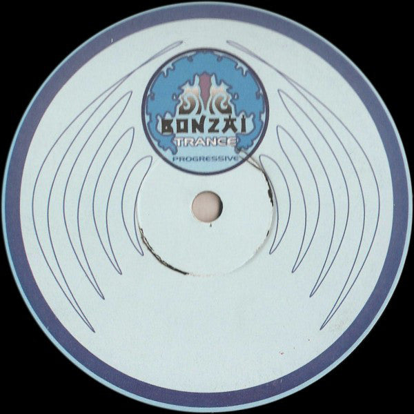 Sonic Infusion : Reformatted (12")