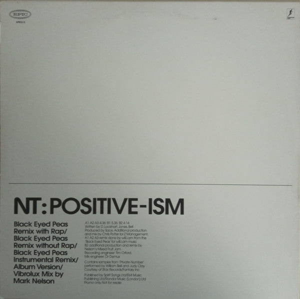 NT (2) : Positive-ism (12", Single, Promo)