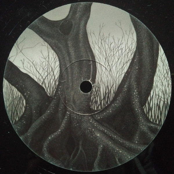 Wisp : Katabatic (12", EP, Ltd)