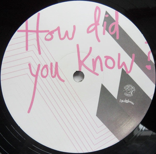 Kurtis Mantronik Presents Chamonix : How Did You Know (12")