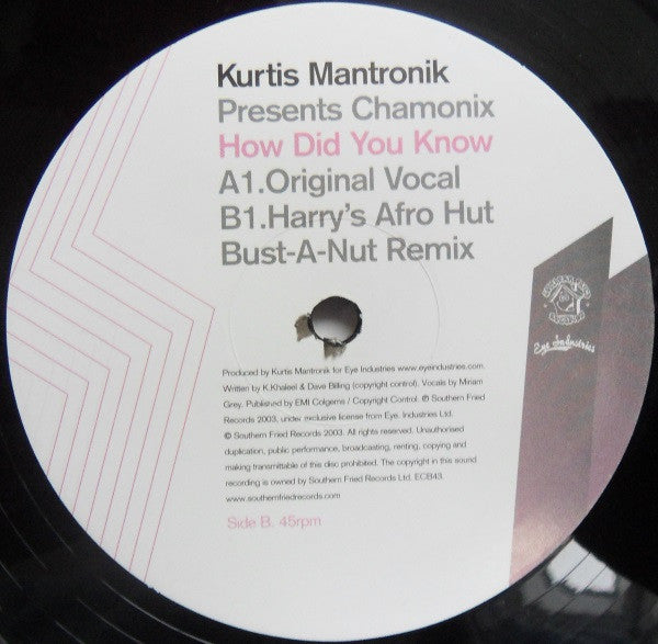 Kurtis Mantronik Presents Chamonix : How Did You Know (12")