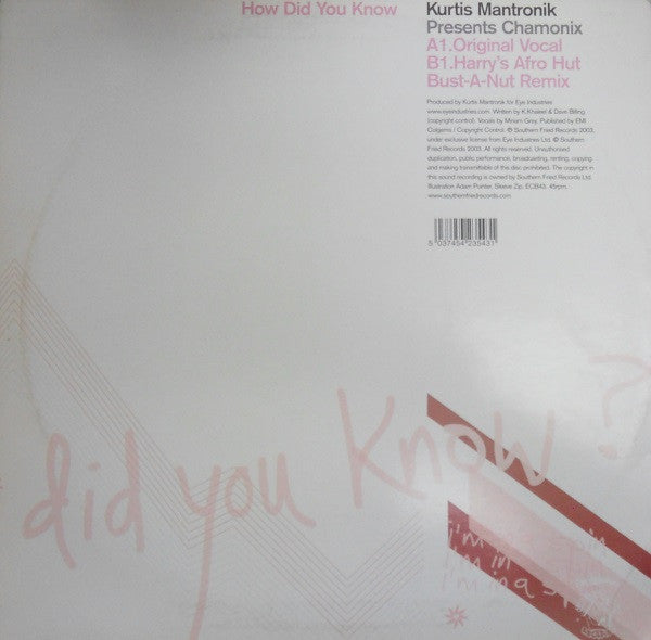 Kurtis Mantronik Presents Chamonix : How Did You Know (12")