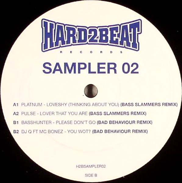 Various : Hard2Beat Records Sampler 02 (12", Ltd, Promo, Smplr)