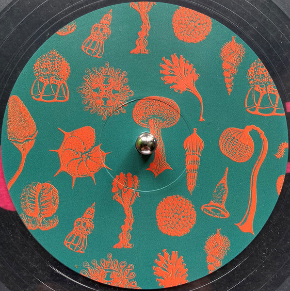 Danny Scrilla : Daybreak  (12", Cle)