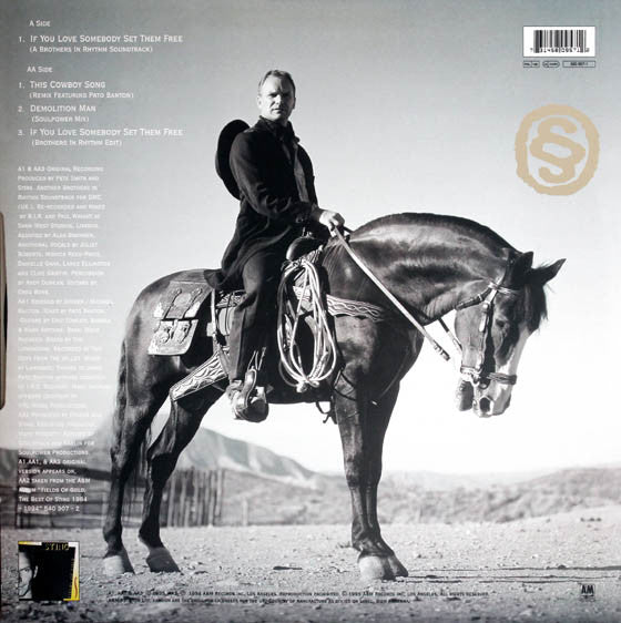 Sting : This Cowboy Song (12", Single)