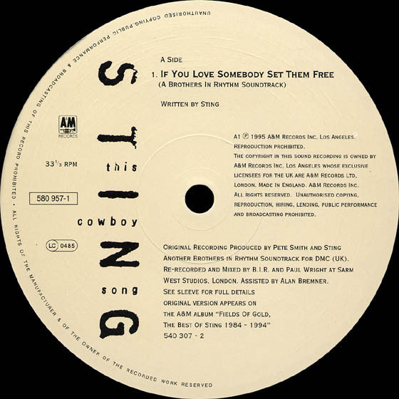 Sting : This Cowboy Song (12", Single)