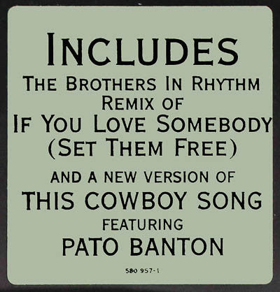 Sting : This Cowboy Song (12", Single)