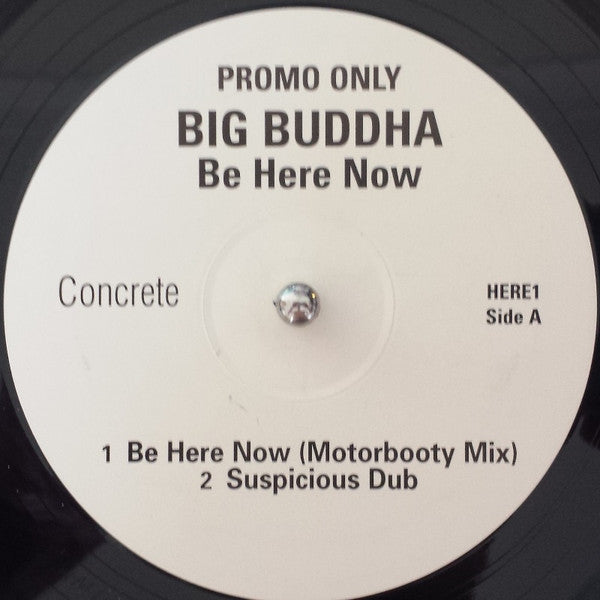 Big Buddha : Be Here Now (12", Promo)