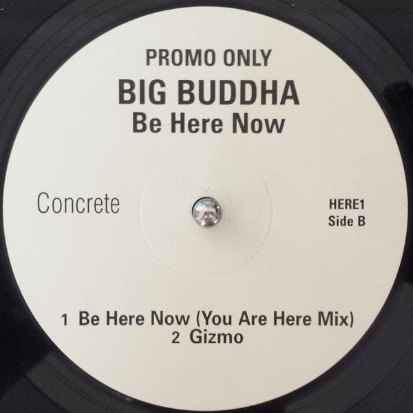 Big Buddha : Be Here Now (12", Promo)