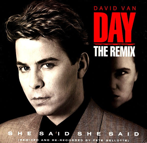David Van Day : She Said She Said (The Remix) (12")