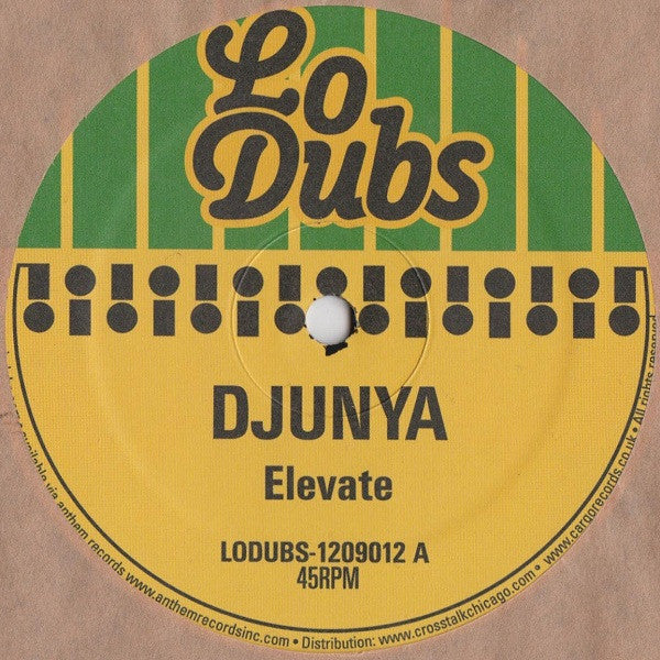 Djunya : Elevate (12")