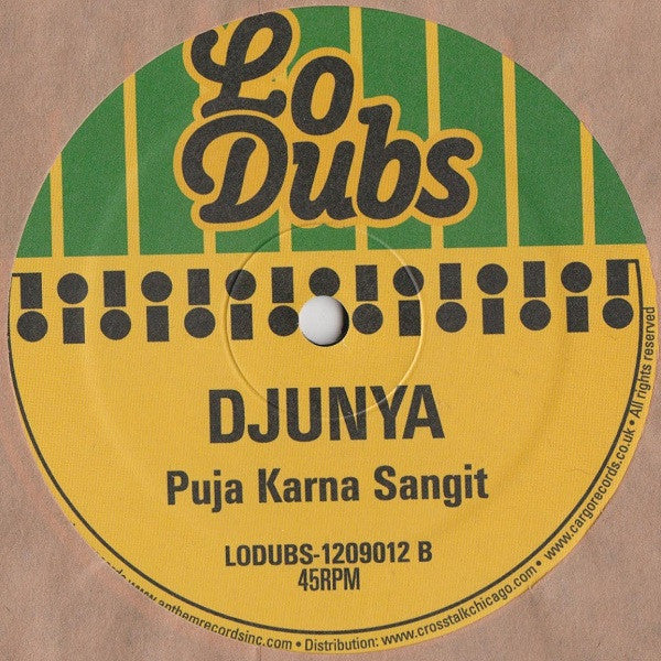 Djunya : Elevate (12")