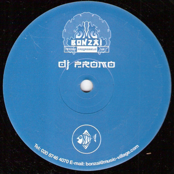 Philippe Van Mullem : Magnetic (12", Promo)