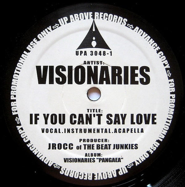 Visionaries : If You Can't Say Love / Do Make Say Think (12", Promo)