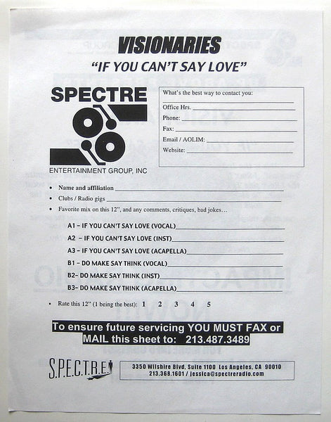 Visionaries : If You Can't Say Love / Do Make Say Think (12", Promo)