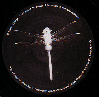 Kontext : Convex Curved Mirror / Hometown Swamp (12")