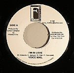 Voicemail / D Major (2) : I'm In Love / Love Songs (7")