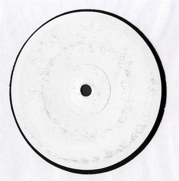 Mauro Picotto & Riccardo Ferri : Alchemist EP (2x12", EP, W/Lbl)