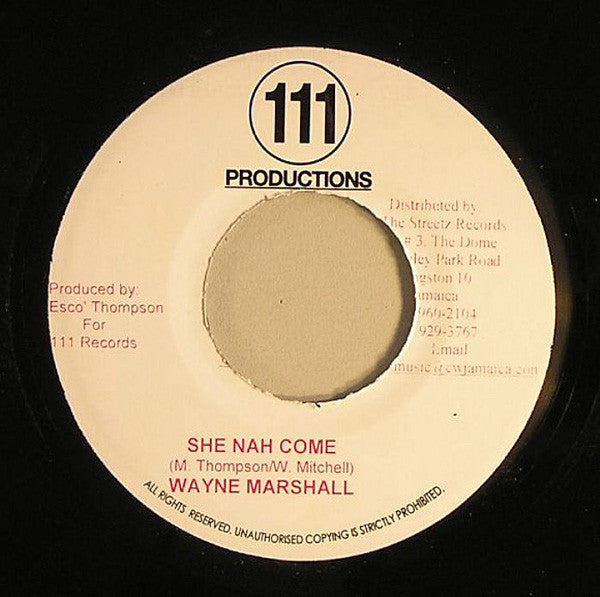 Wayne Marshall / Fresh Money : She Nah Come / Horny Anyone (7")