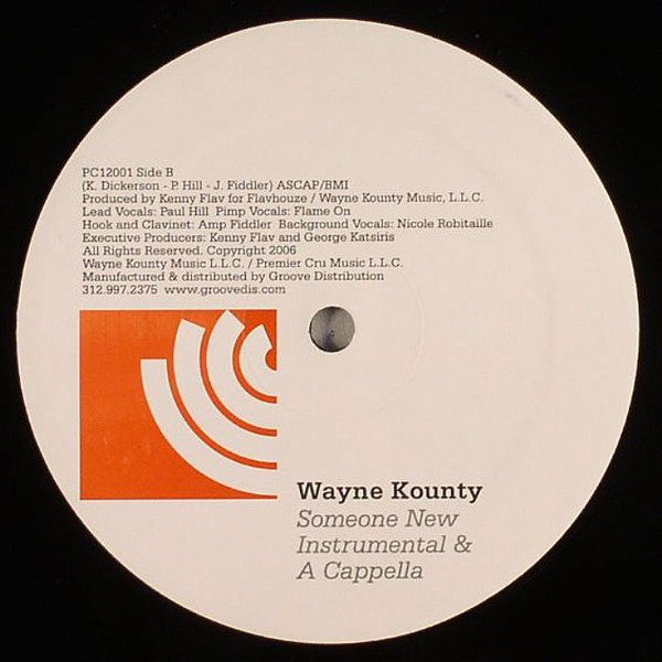 Wayne Kounty Featuring Amp Fiddler : Someone New (12")