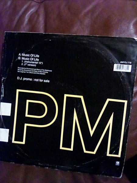 Jay Markay : Music Of Life (12", Promo)