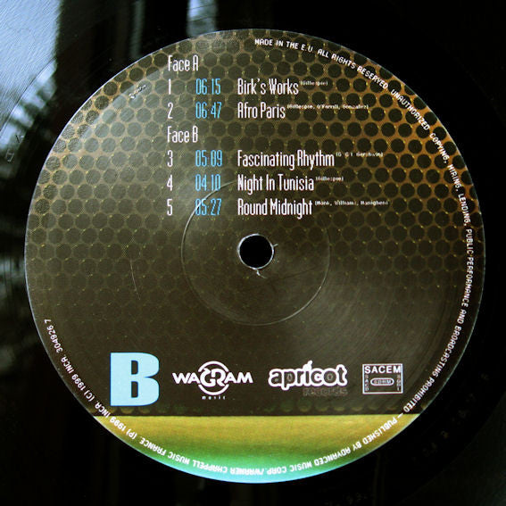 Solar Sides : Electrolyse (2xLP, Album)