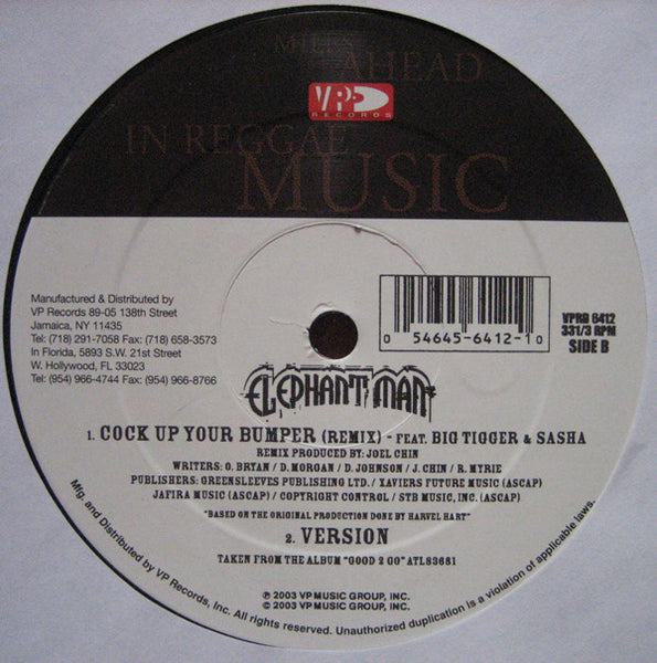 Elephant Man : Signal De Plane / Cock Up Your Bumper (Remix) (12")