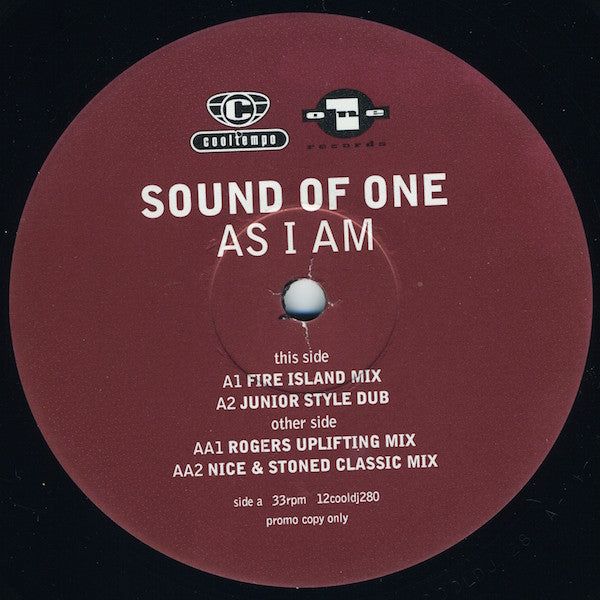 Sound Of One : As I Am (12", Promo)