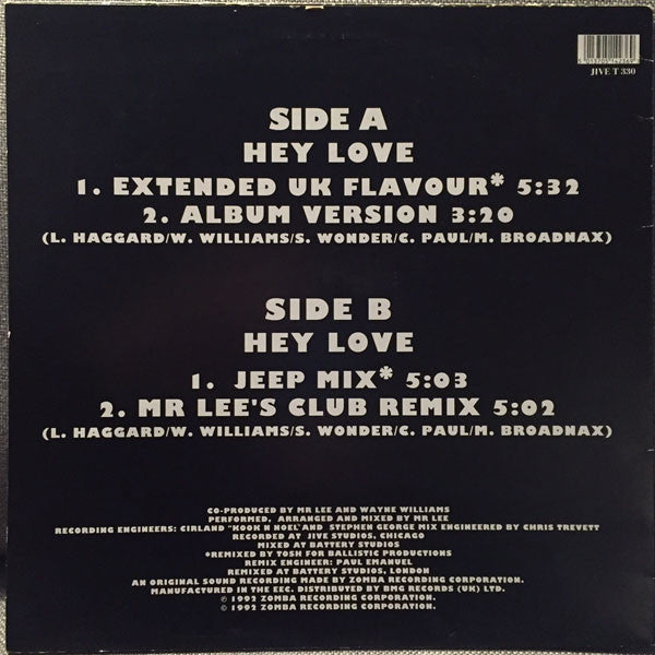 Mr. Lee / R. Kelly : Hey Love (12")