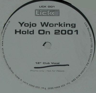 Yojo Working : Hold On 2001 (12", Promo)
