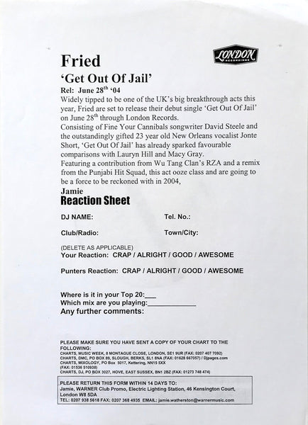 Fried : When You Get Out Of Jail (12", Promo)