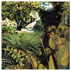 Pekka Streng : Puutarhassa / In The Garden (12")