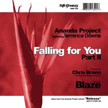 The Ananda Project Featuring Terrance Downs : Falling For You (Part II) (12")