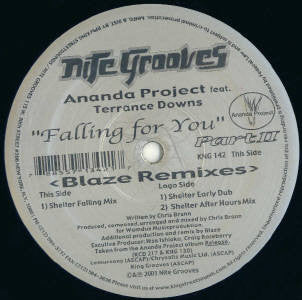 The Ananda Project Featuring Terrance Downs : Falling For You (Part II) (12")