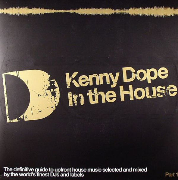 Kenny "Dope" Gonzalez : In The House (Part 1) (2x12", Comp)
